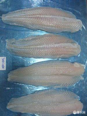 越南巴沙鱼各种(越南工厂直售,1柜起)basa
